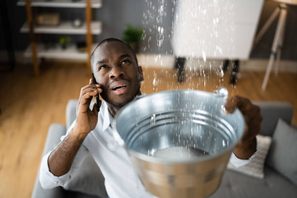Best Water damage repair service  in Perry, KS