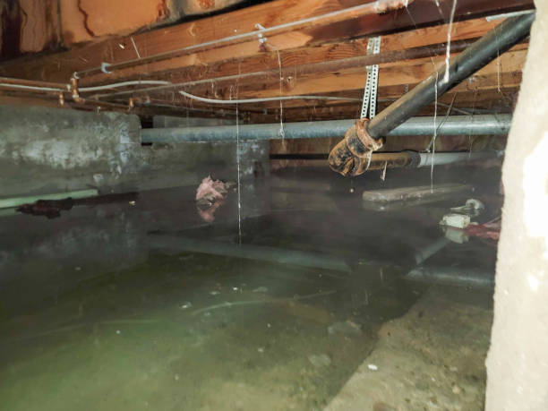 Water damage restoration mold remediation in Perry, KS