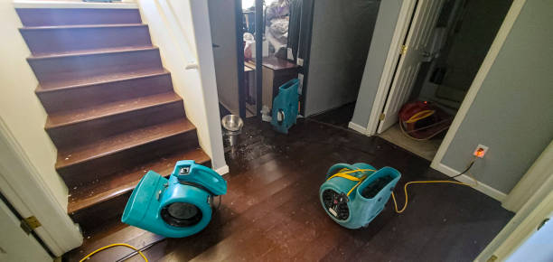 Best Water damage restoration near me  in Perry, KS