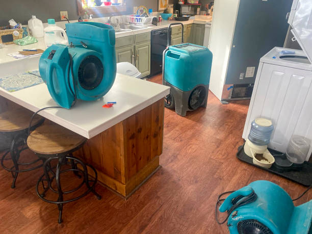 Best Flood damage cleanup  in Perry, KS