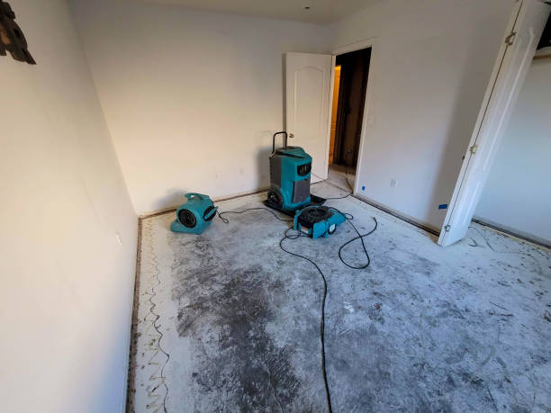 Best Fire Damage Restoration  in Perry, KS