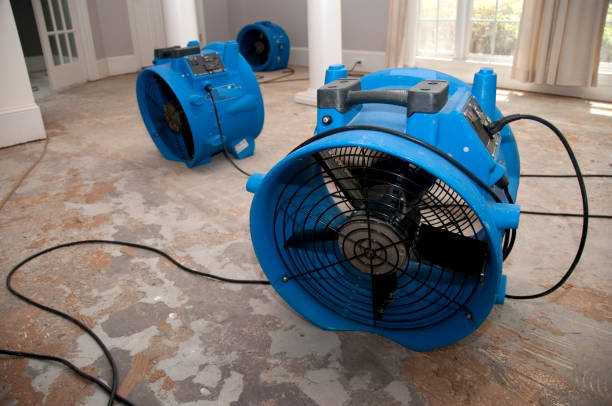 Best Flooded house restoration  in Perry, KS