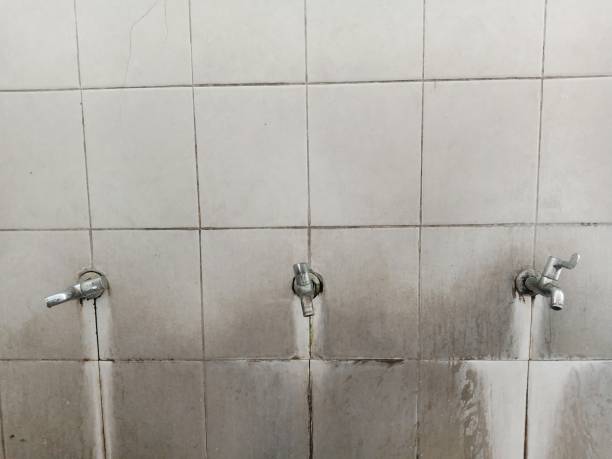 Carpet water damage restoration in Perry, KS