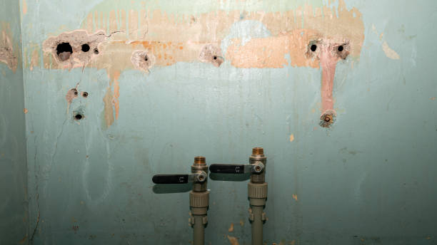Best Water damage contractors near me  in Perry, KS